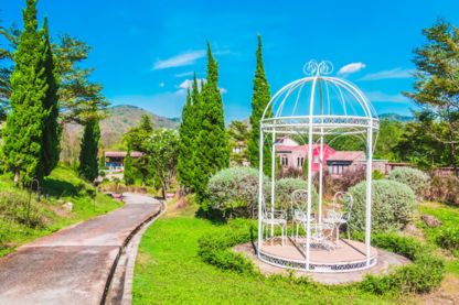 Private cab Ooty